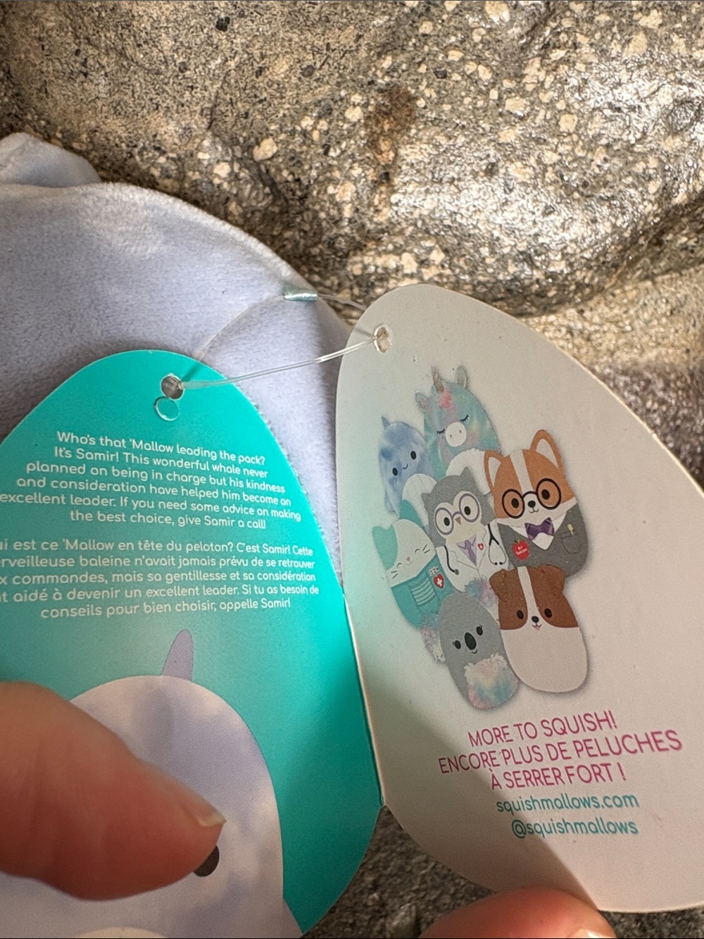 π³ NWT 5β Samir the Whale Squishmallow - Canadian Exclusive! - Picture 3 of 3